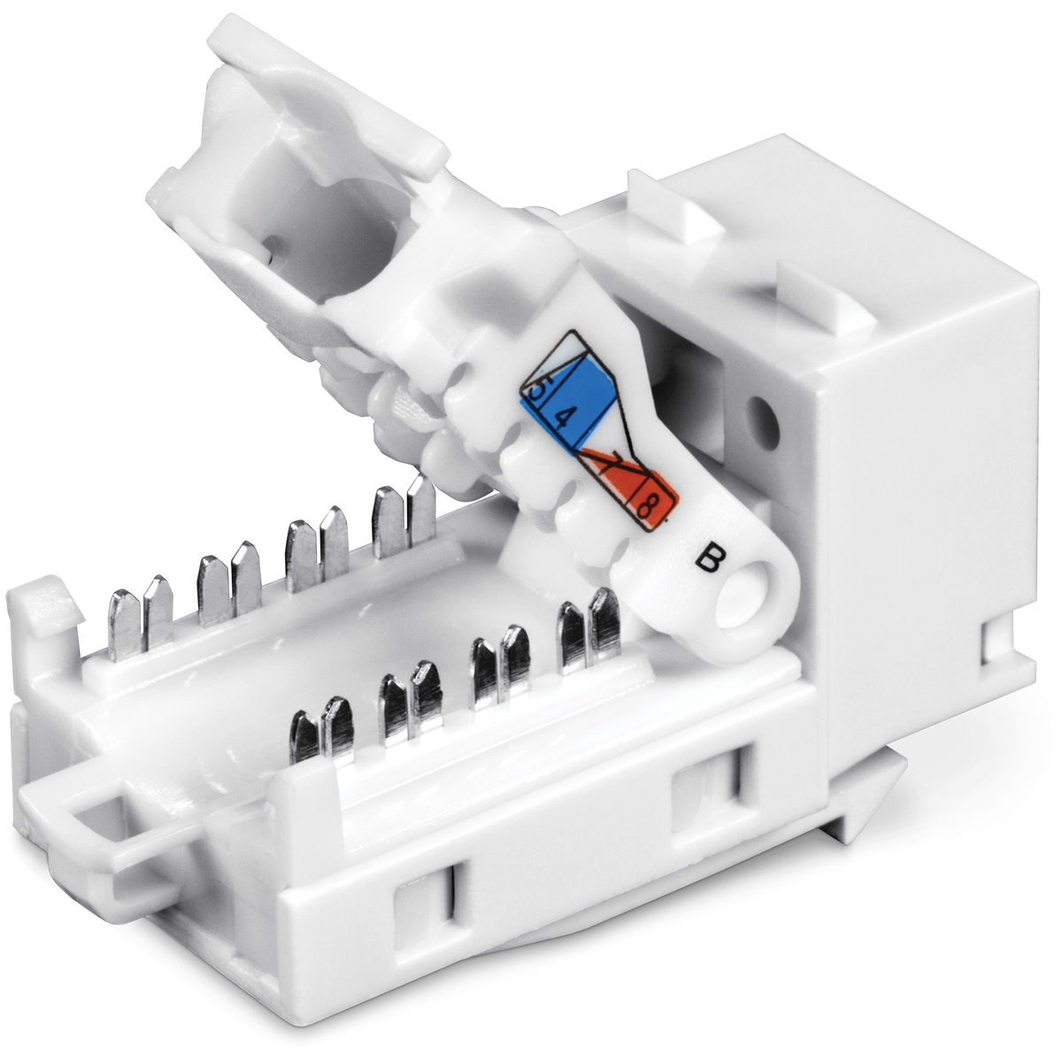TRENDNET - TC-K50C6 - 50 Pack Cat6 RJ-45 Keystone Jack